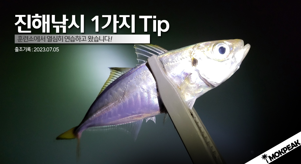 진해낚시_1가지 tip